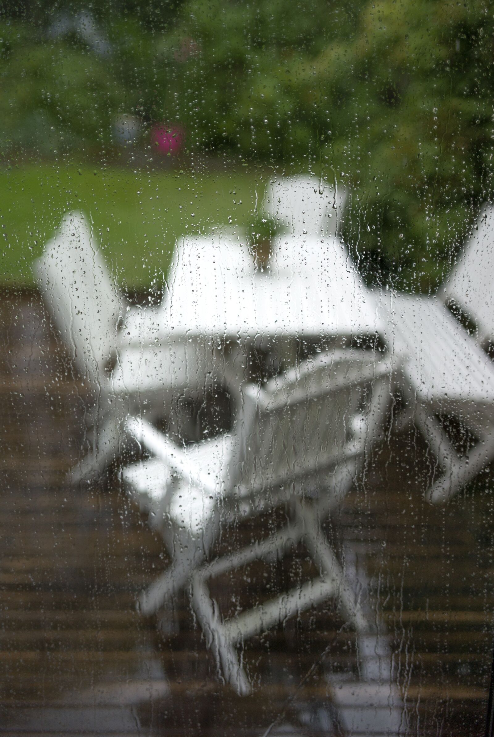 Leica M9 sample photo. Rain, summer, nature photography