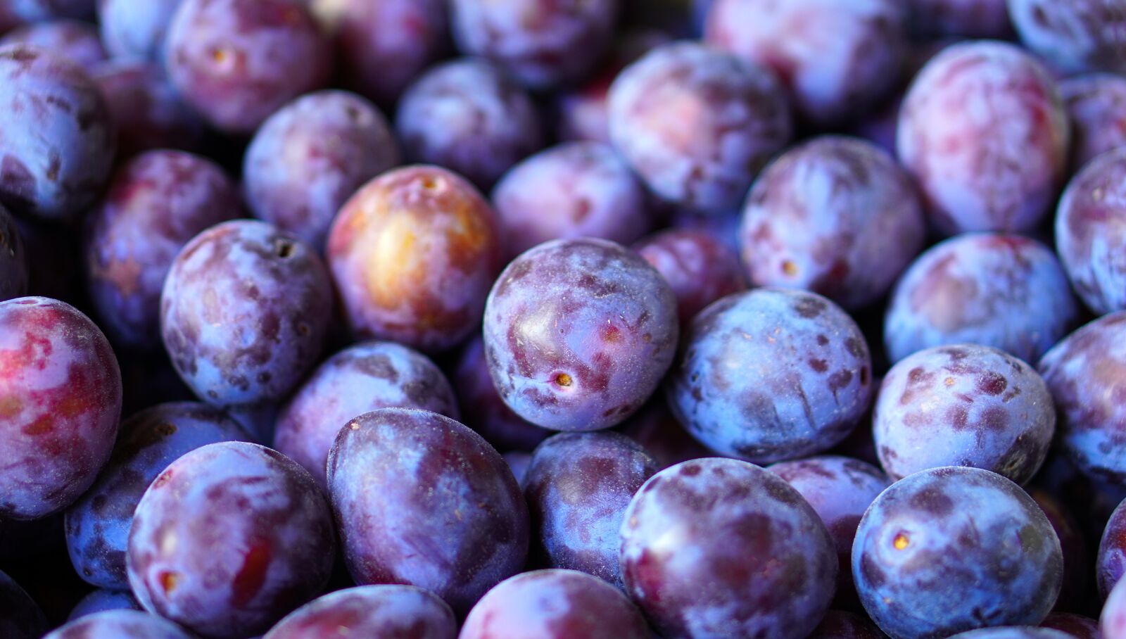 E 50mm F1.8 OSS sample photo. Plums, harvest, fruit photography