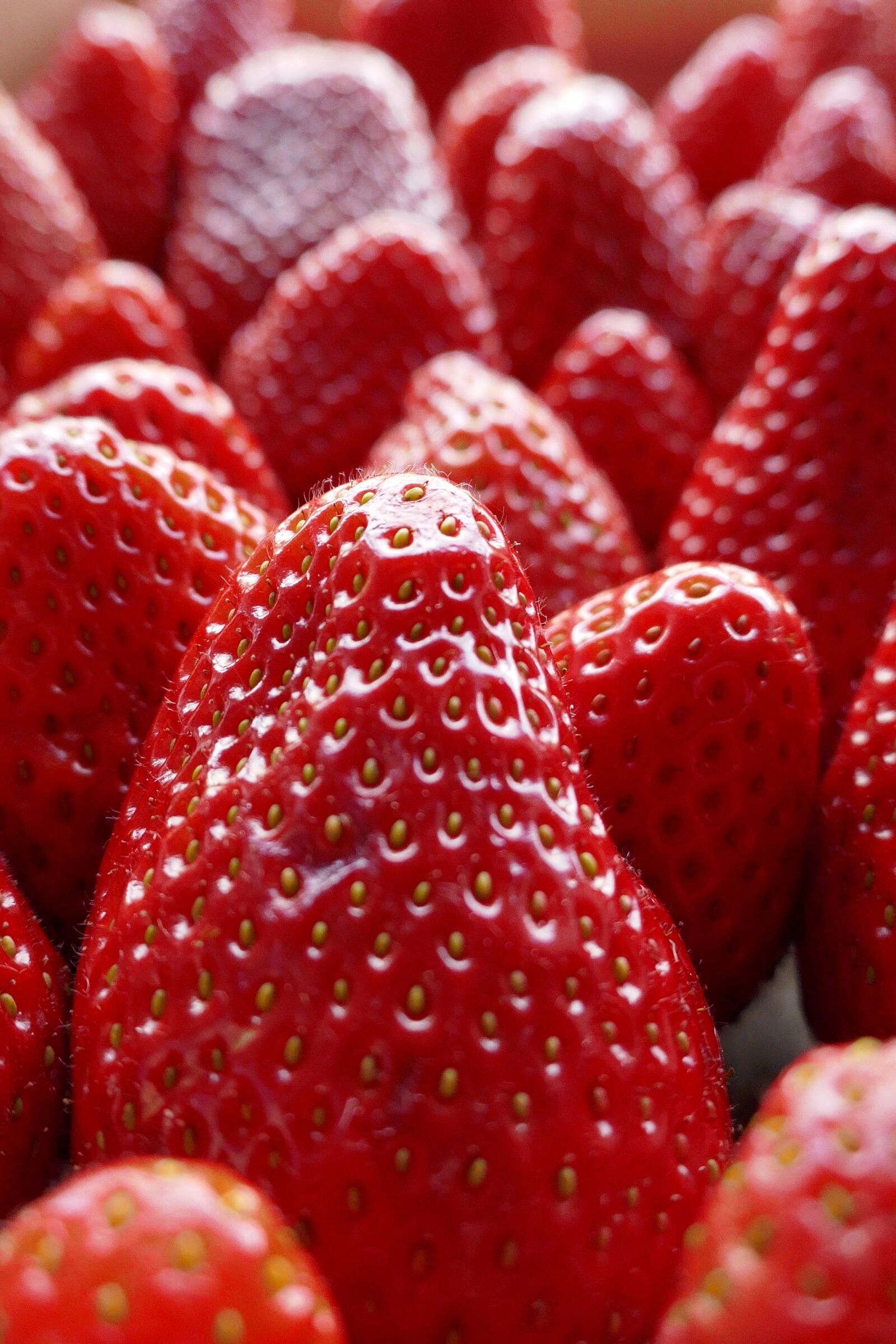 Panasonic DMC-TZ101 sample photo. Fruit, strawberry, berry photography
