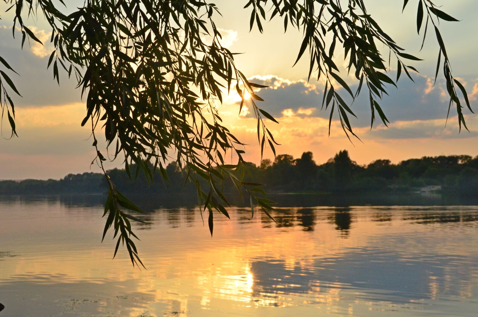 Nikon D5100 sample photo. Willow, river, clouds photography