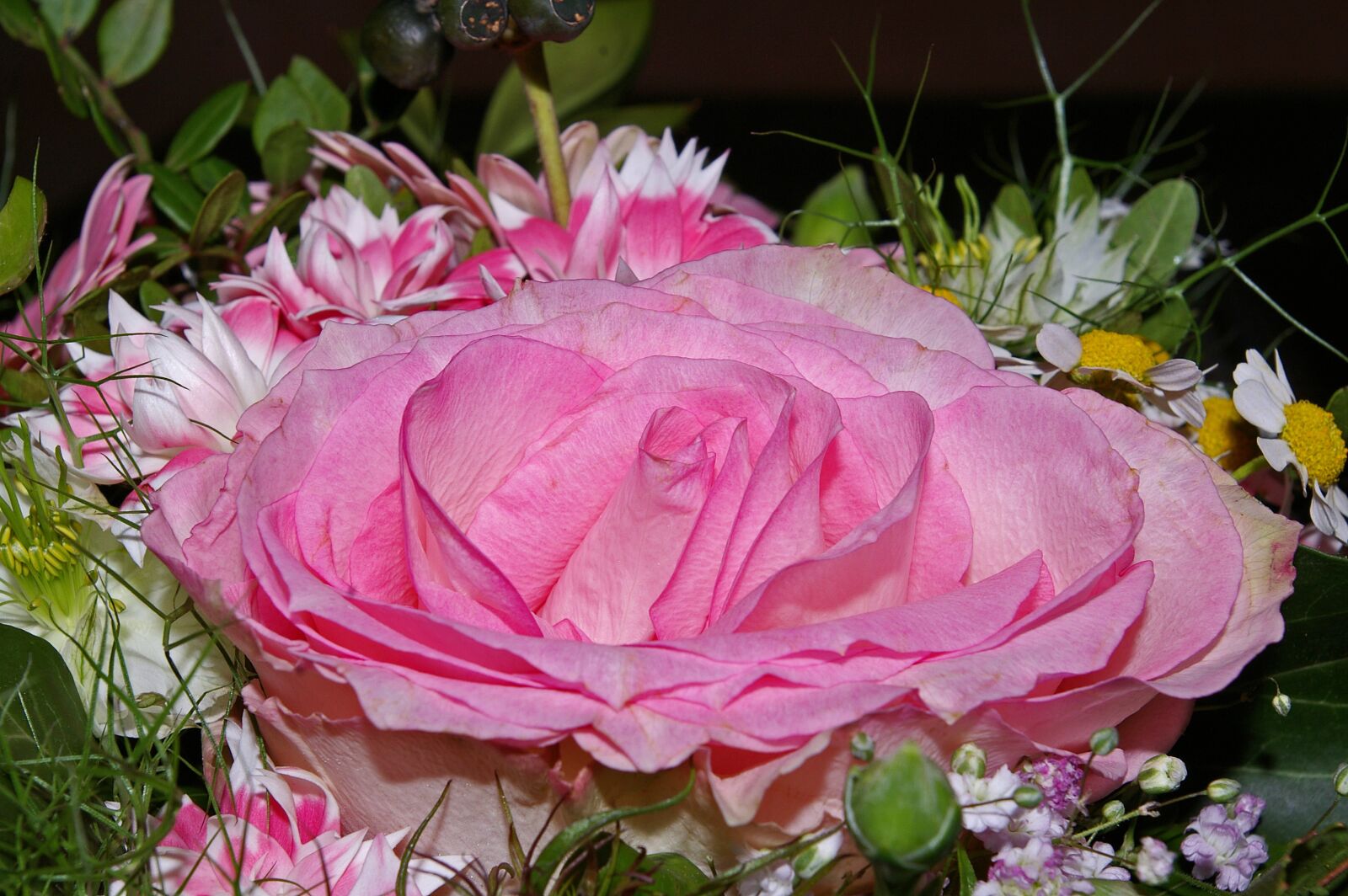 Pentax *ist DL2 sample photo. Rose, bouquet, flowers photography