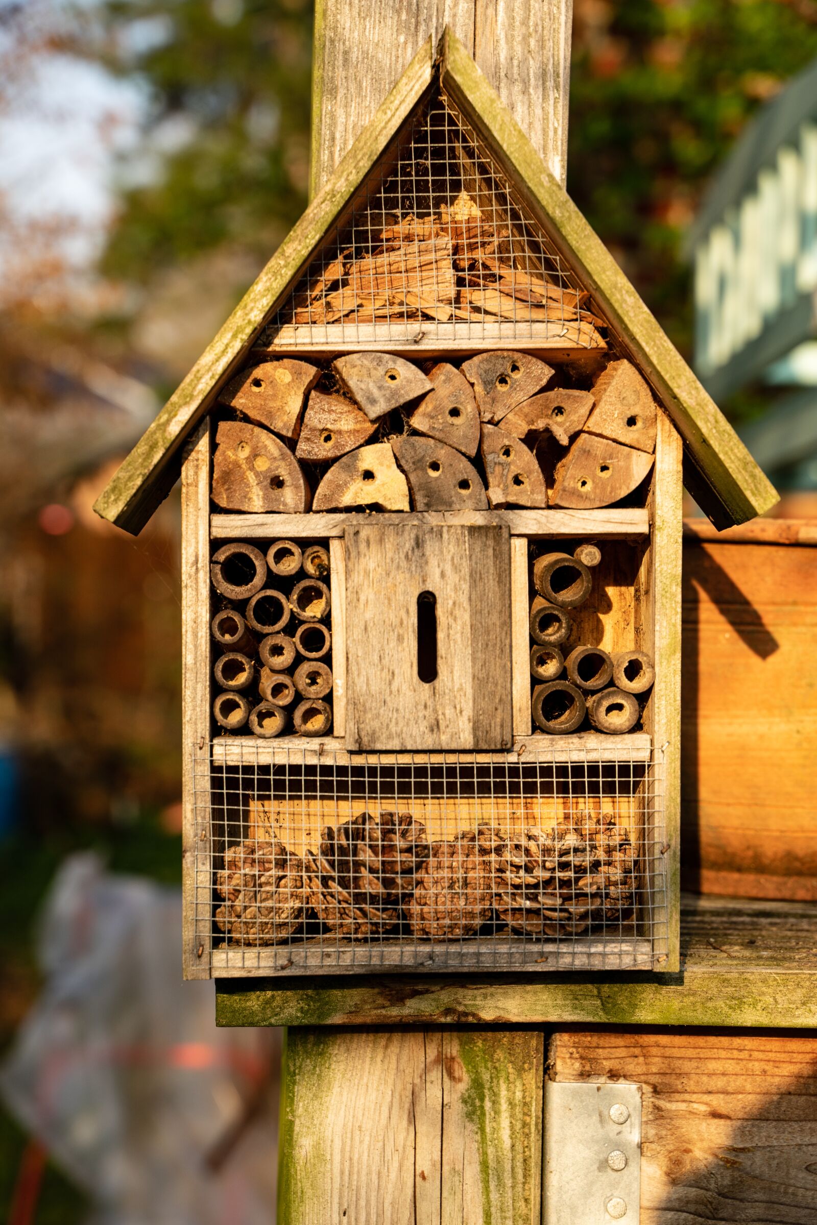 Tamron 28-75mm F2.8 Di III RXD sample photo. Insect hotel, insect, summer photography