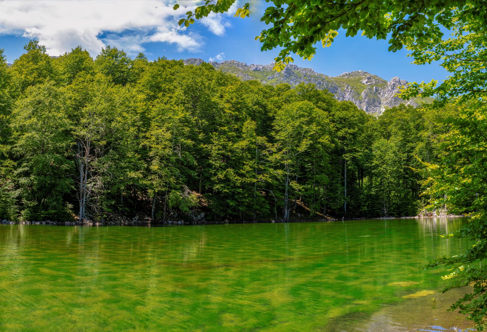 Tamron SP 24-70mm F2.8 Di VC USD sample photo. Lake, mountain, alpine photography