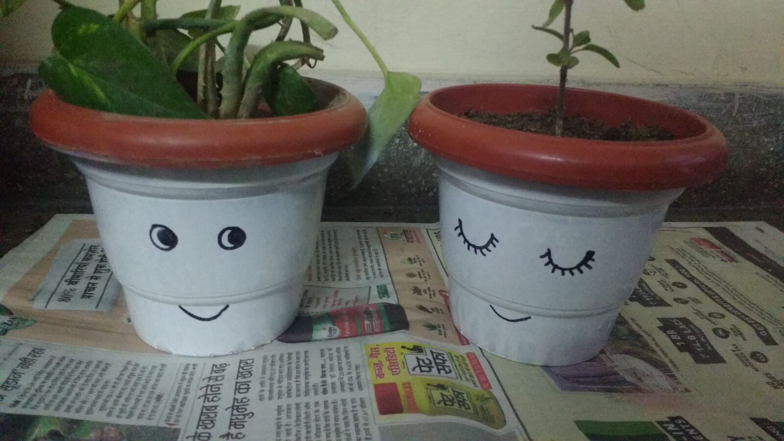 Motorola MotoG3 sample photo. Plants, creative, animation photography