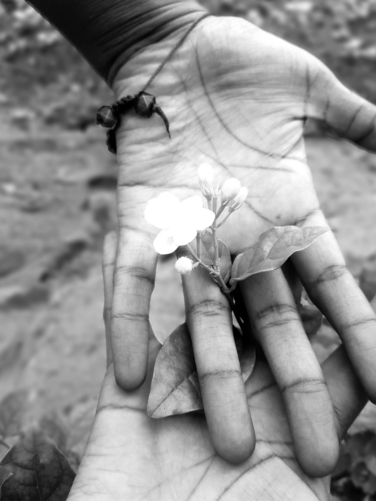 Samsung Galaxy S8 sample photo. Hand, bracelet, flower photography