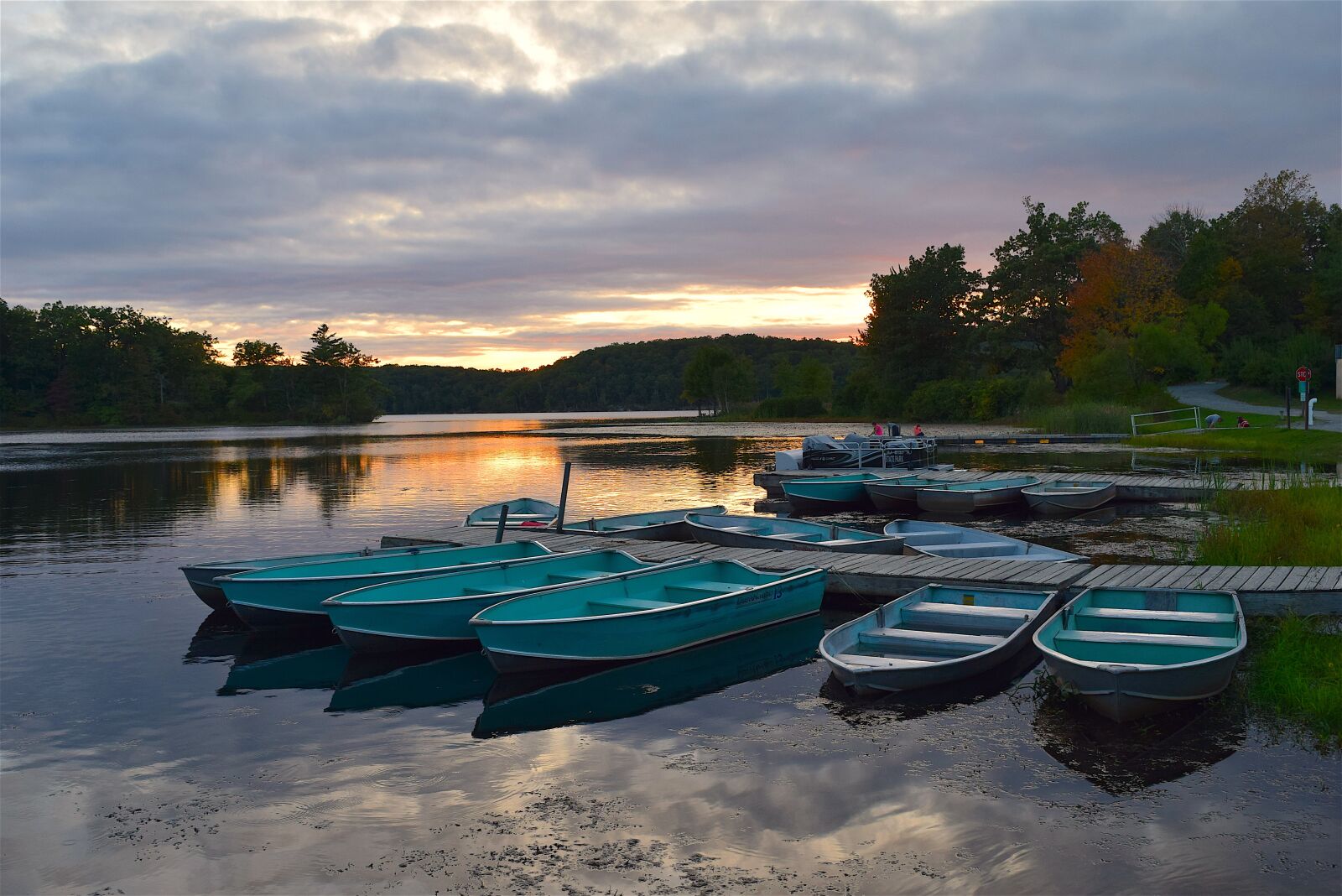Nikon D3300 sample photo. Lake, sunset, park photography