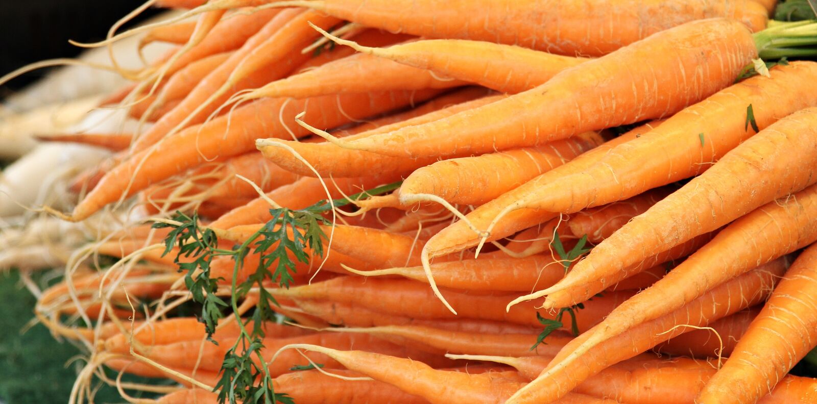Canon EOS 550D (EOS Rebel T2i / EOS Kiss X4) sample photo. Carrots, farmers local market photography