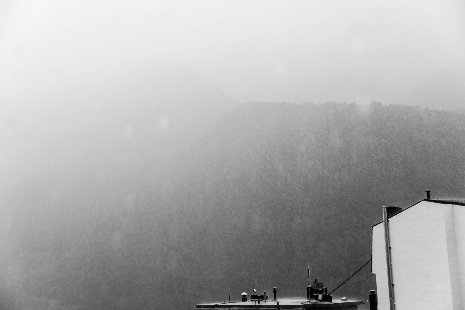 Canon EOS 5D Mark II sample photo. Andorra, andorre, cats, deluge photography