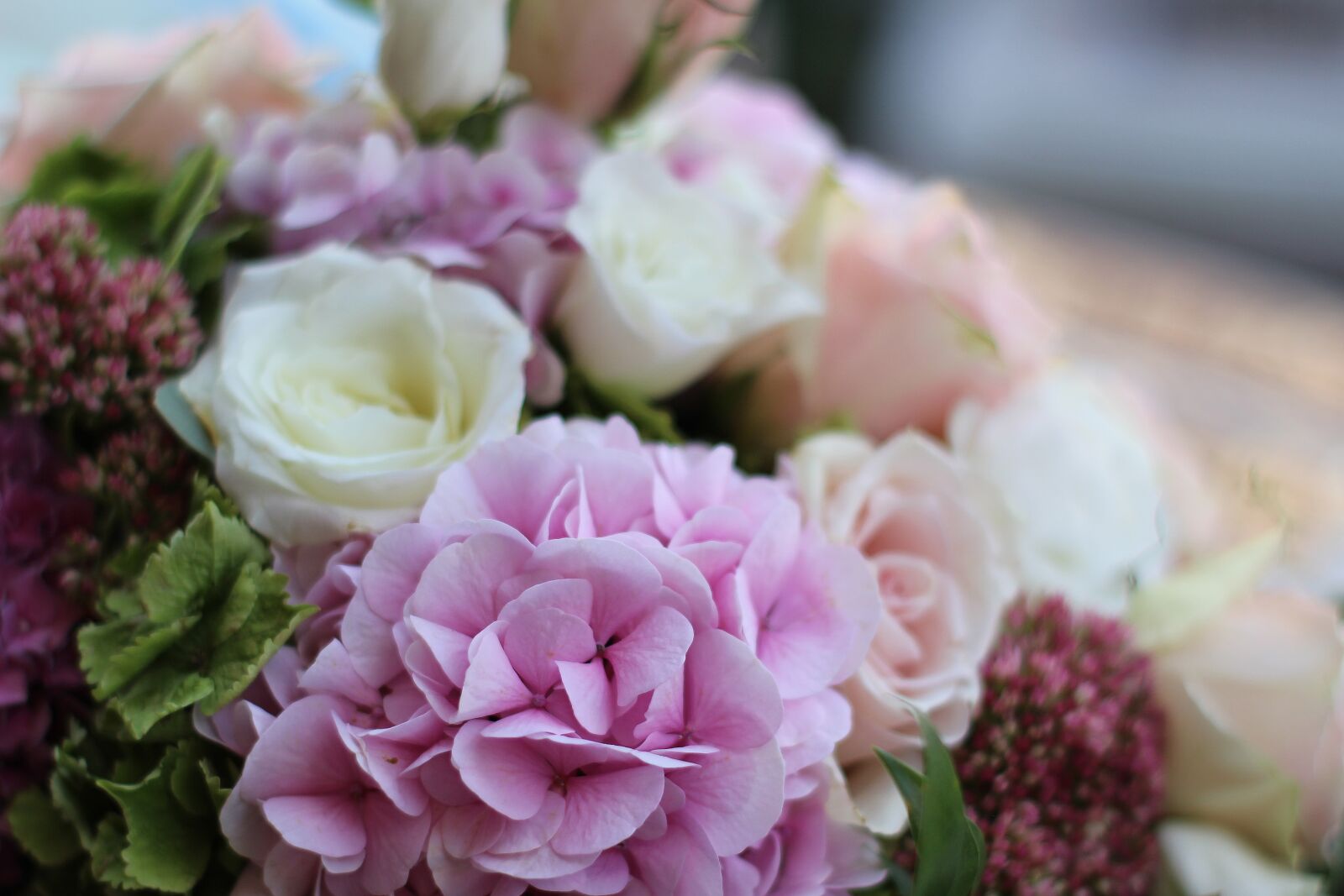 Canon EOS 700D (EOS Rebel T5i / EOS Kiss X7i) sample photo. Hydrangea, bouquet, pink hydrangea photography