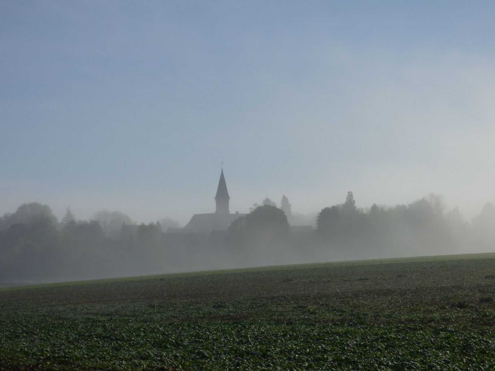 Panasonic DMC-FZ72 sample photo. Fog, landscape, fall photography