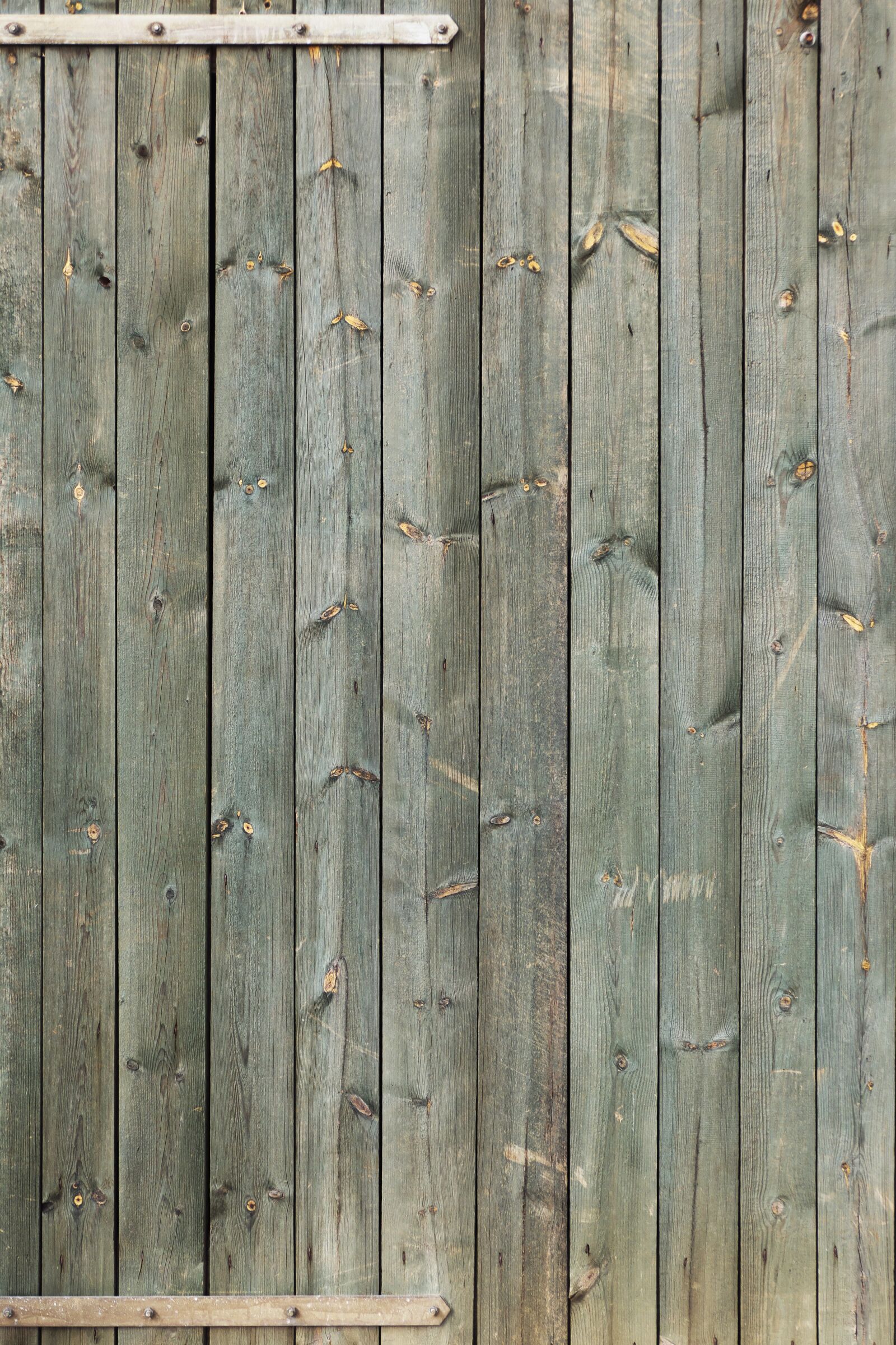 Panasonic Lumix DMC-FZ1000 sample photo. Wood, boards, rustic photography