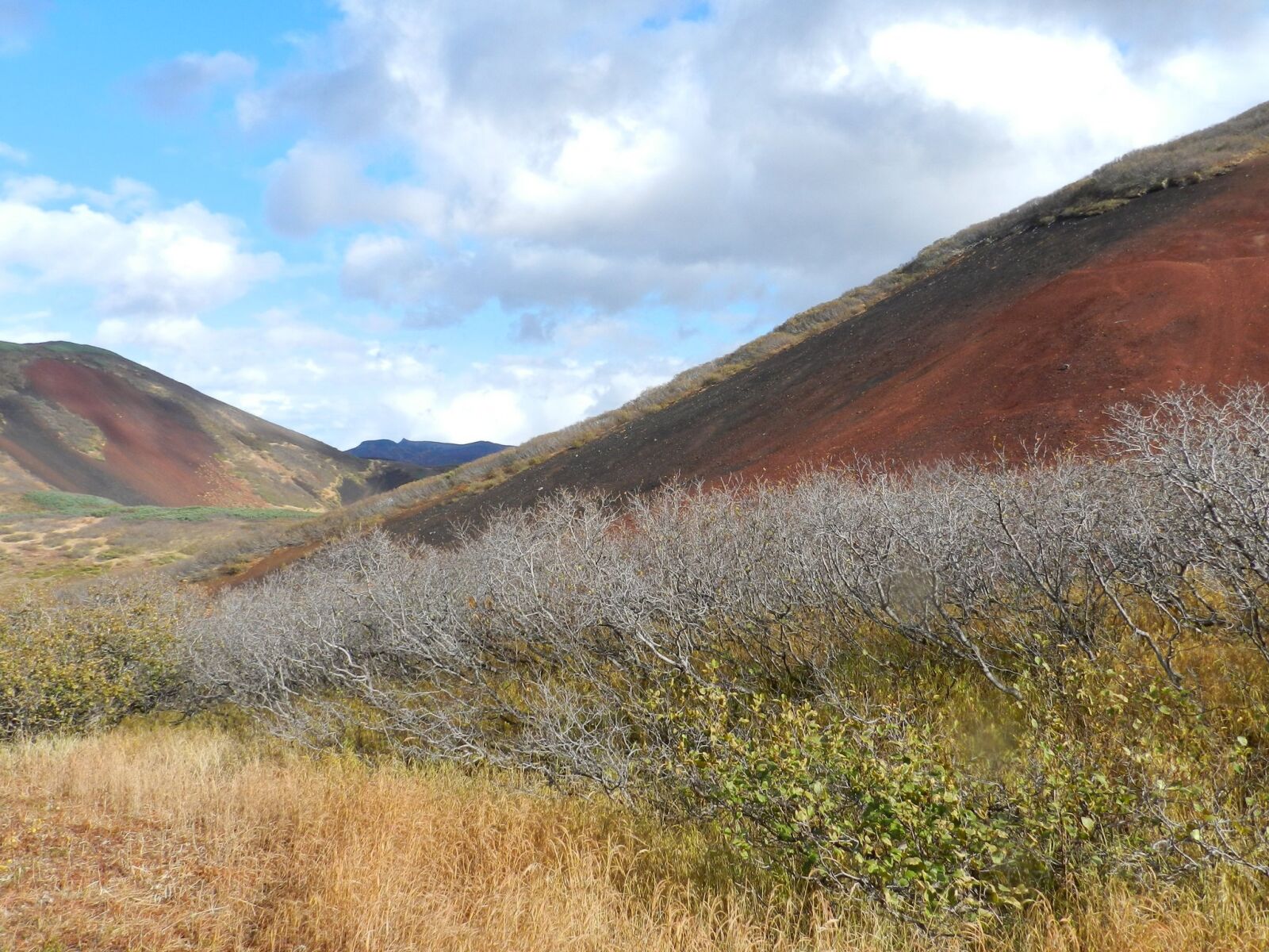 Nikon Coolpix P500 sample photo. Mountains, late autumn, bare photography