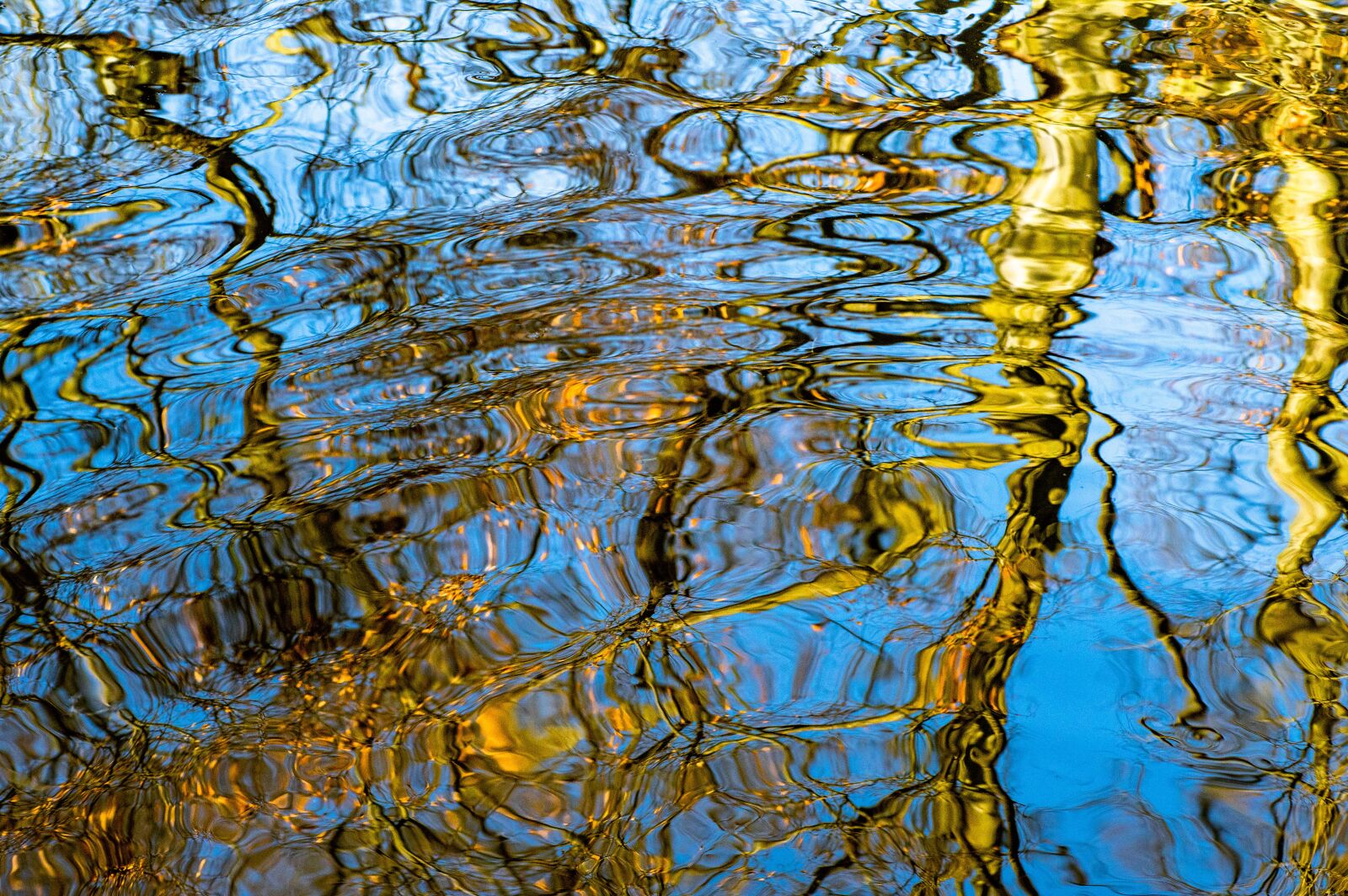 Pentax KP sample photo. Water, abstract, mirroring photography