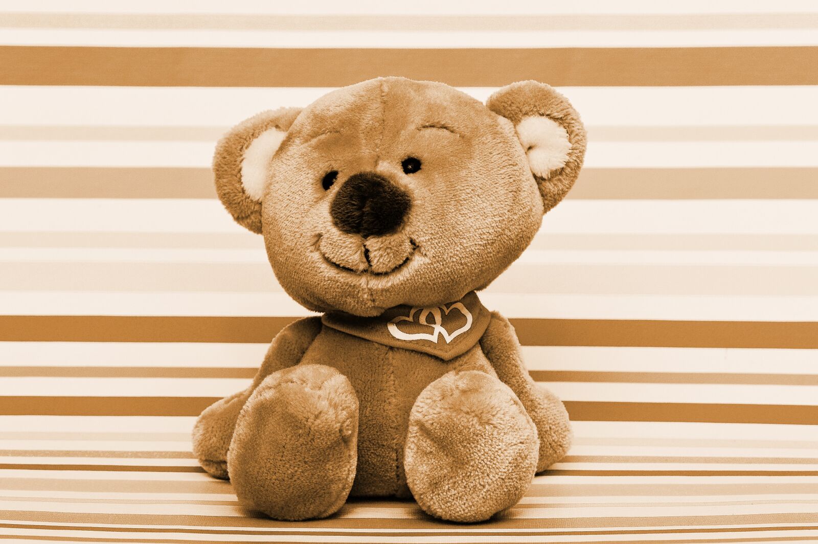 Nikon D3200 sample photo. Teddy bear, teddy, soft photography