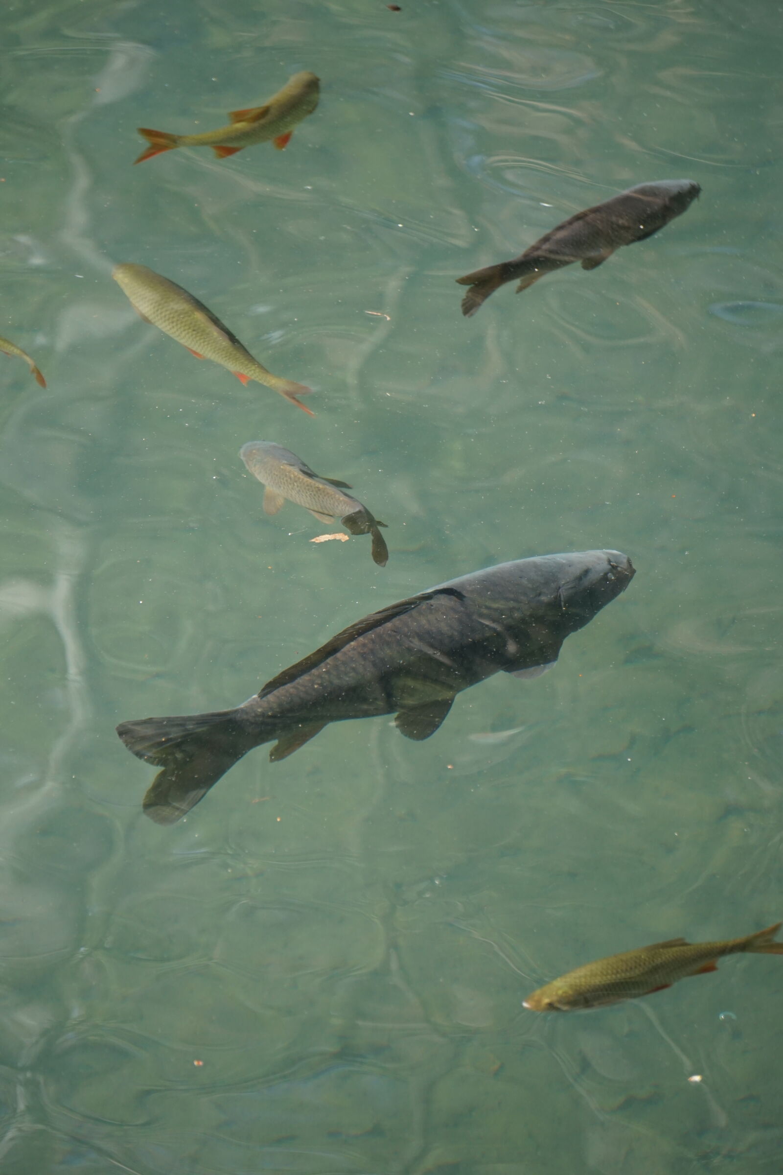 Sony a6000 sample photo