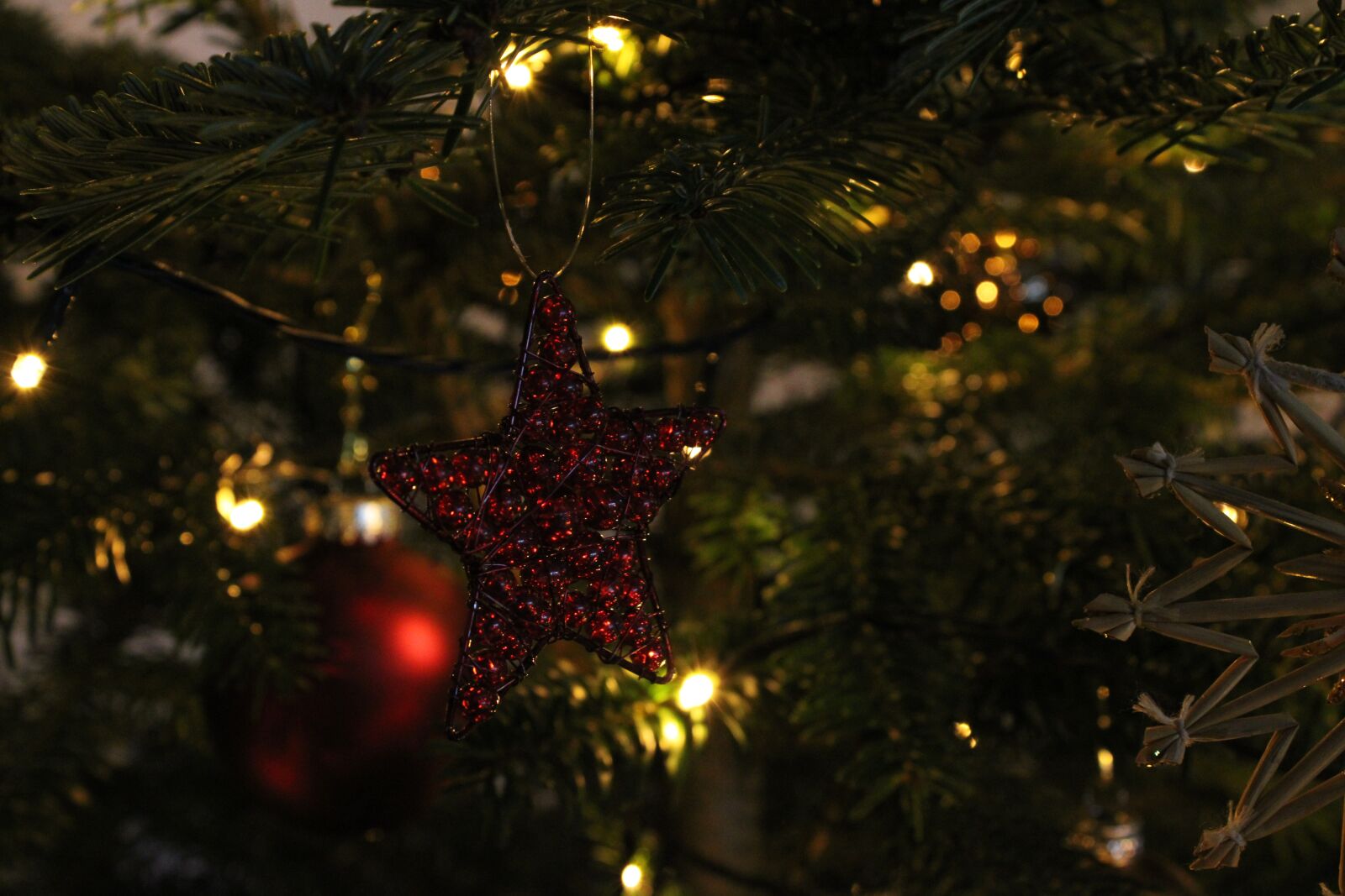 Canon EOS 2000D (EOS Rebel T7 / EOS Kiss X90 / EOS 1500D) sample photo. Christmas, star, christmas tree photography