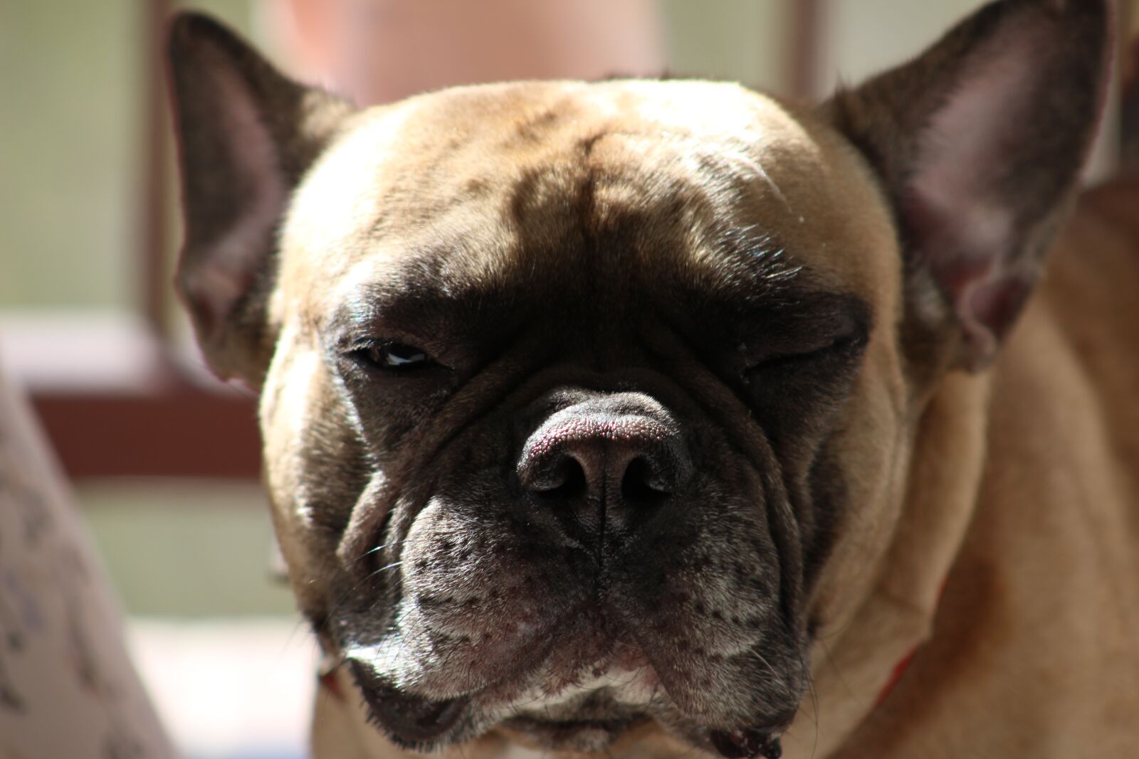 Canon EF75-300mm f/4-5.6 sample photo. A snapshot, my eyes photography