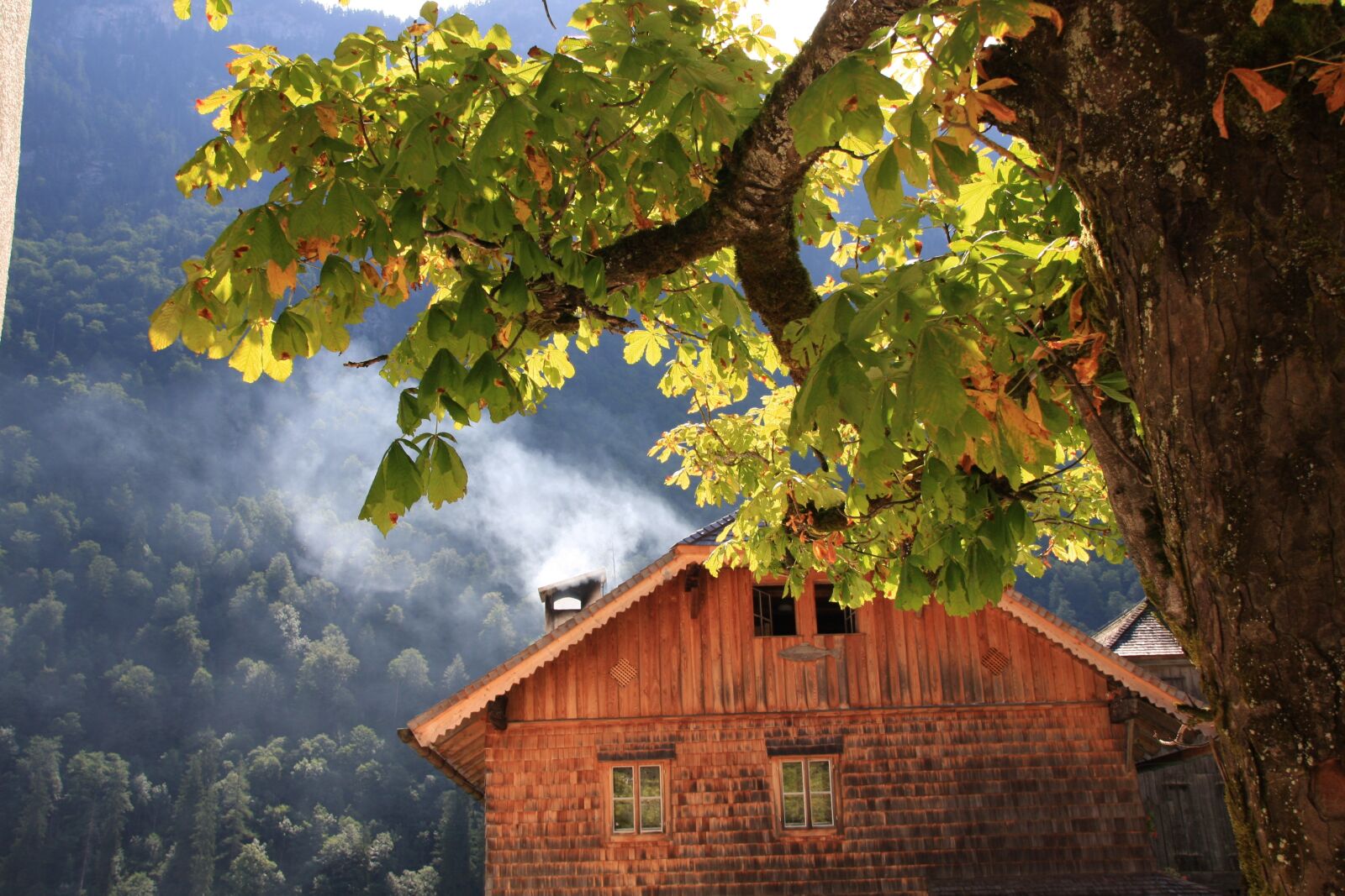 Canon EOS 40D sample photo. Mountains, hut, trees photography