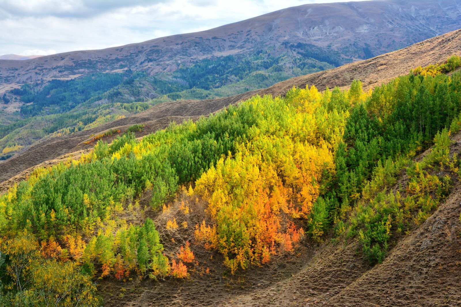 Nikon D7100 sample photo. Nature, landscape, kaçkars photography