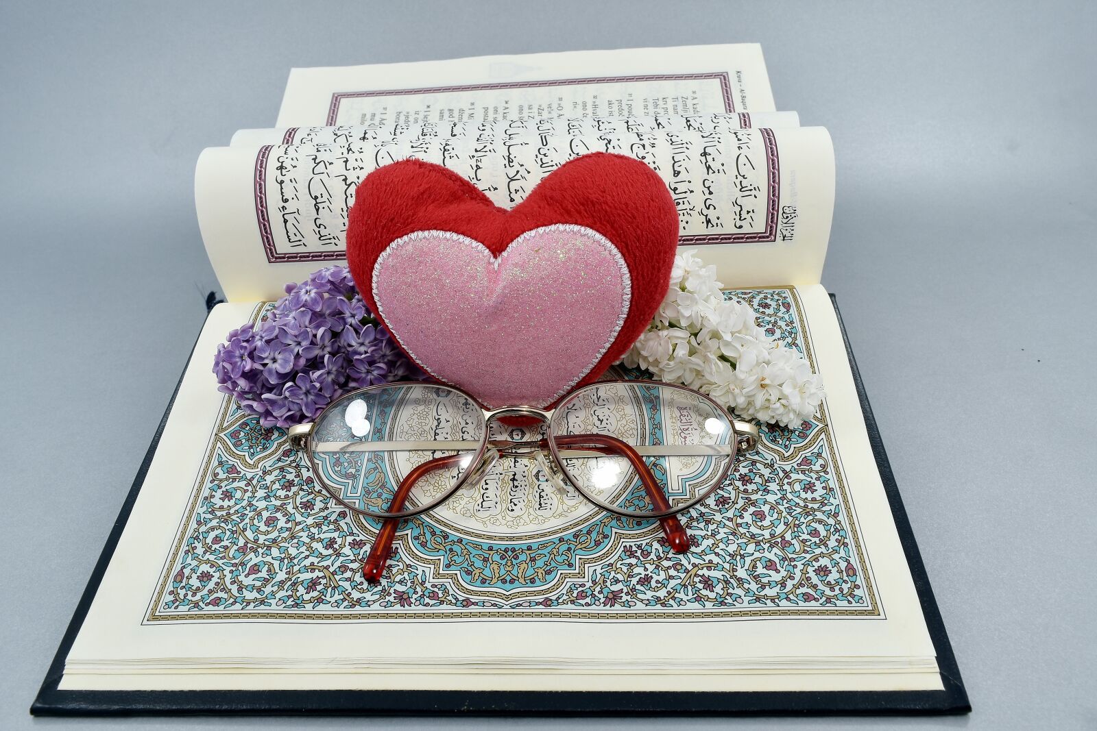 Nikon D5500 sample photo. Affection, book, ceremony, heart photography