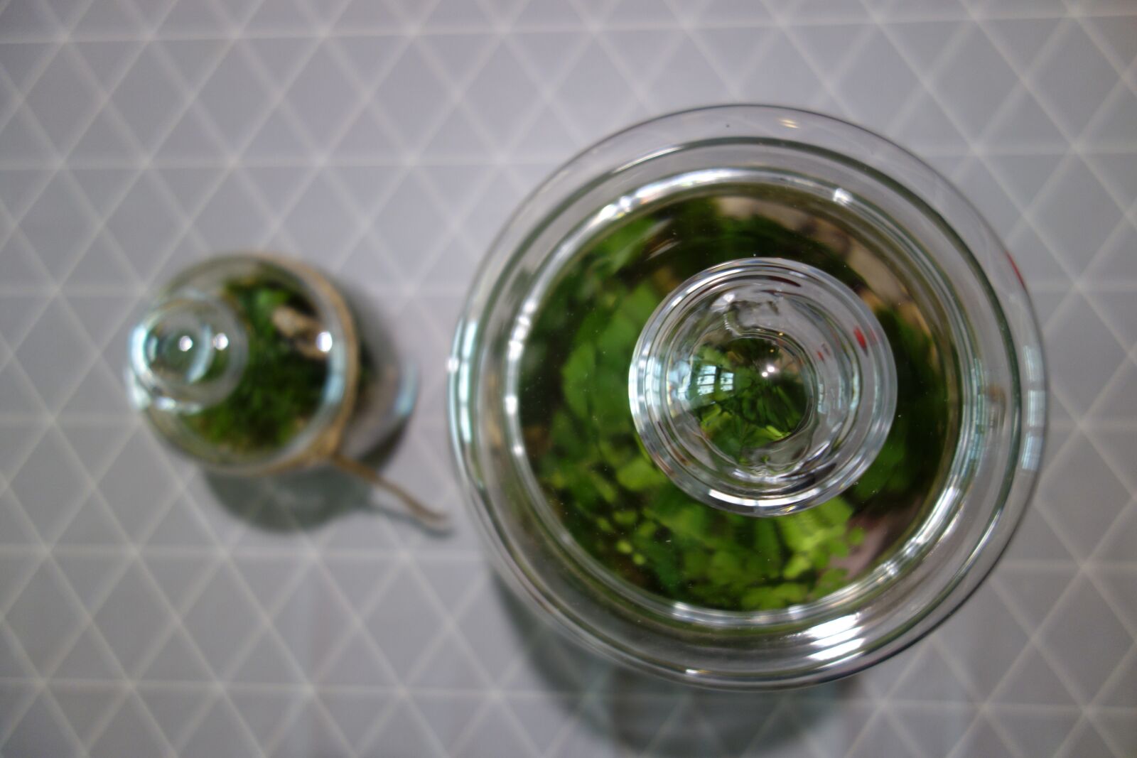 Sony Cyber-shot DSC-RX100 sample photo. Jars, plants, forest in photography