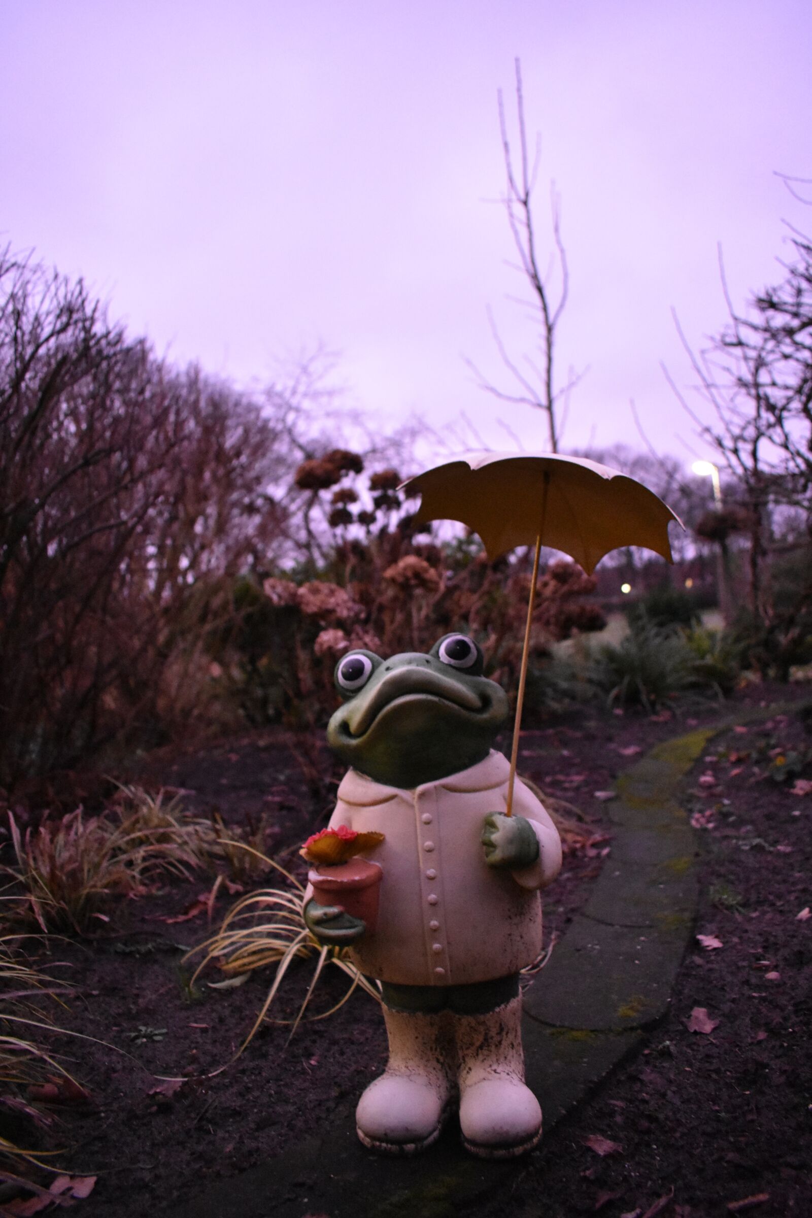 Nikon D3400 sample photo. Frog, green, umbrella photography