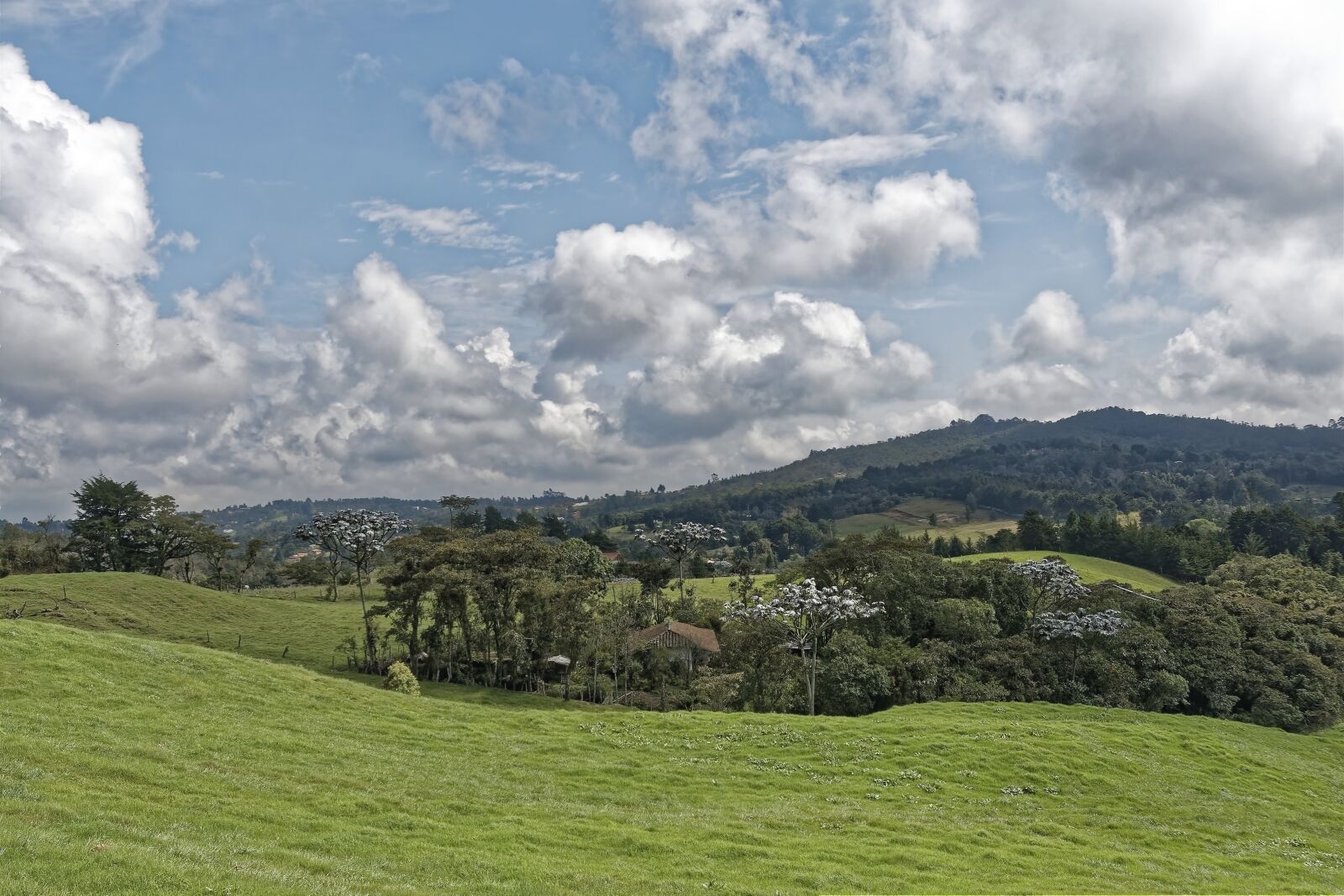 Nikon D500 sample photo. Colombia, landscape, mountains photography