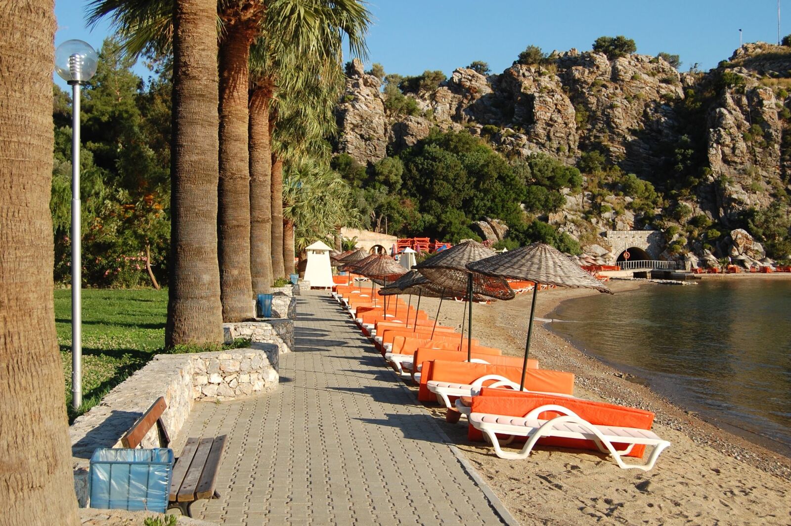 Nikon D40 sample photo. Summer, palm tree, path photography