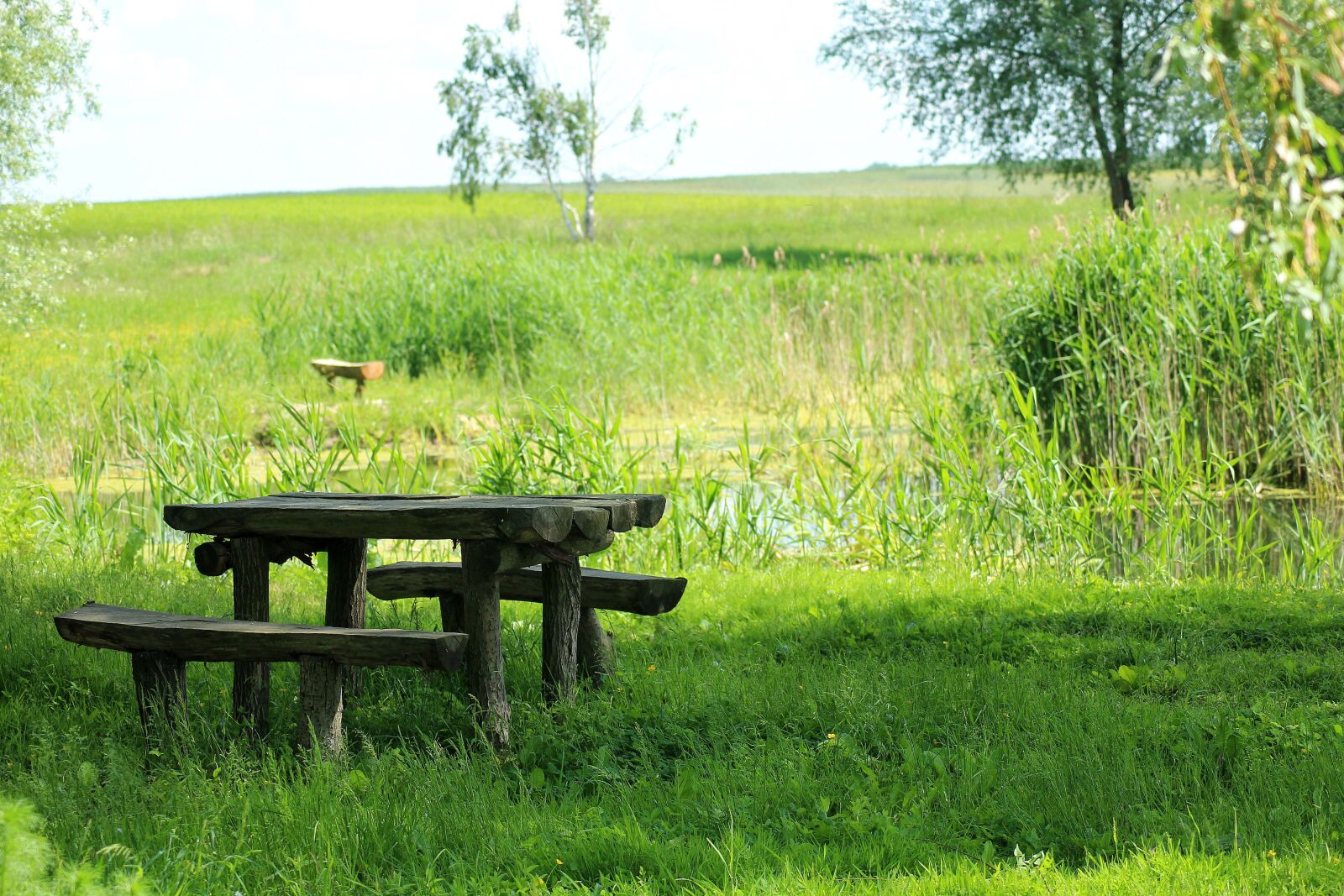 Canon EOS 1200D (EOS Rebel T5 / EOS Kiss X70 / EOS Hi) sample photo. Bench, nature, picnic photography