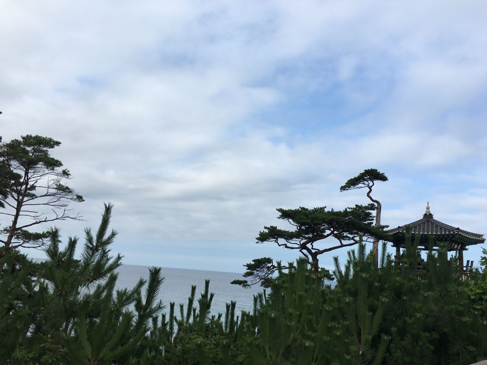 iPhone 6s back camera 4.15mm f/2.2 sample photo. Gangneung, blue sky, break photography