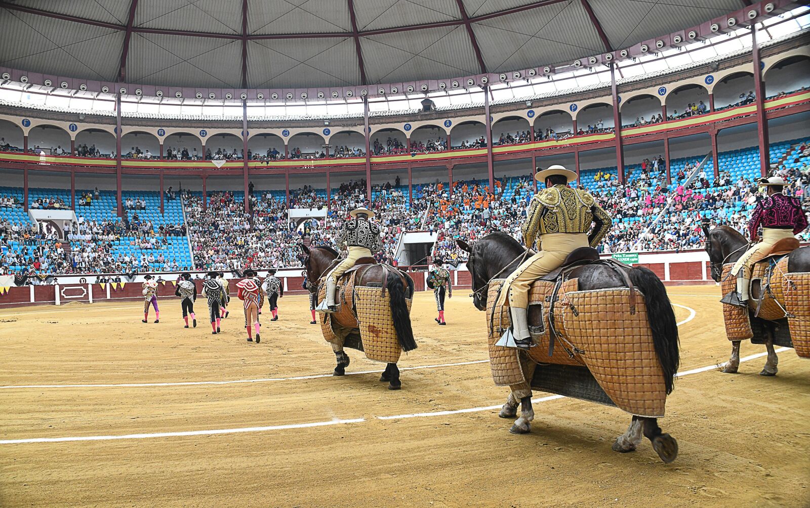 Nikon D850 sample photo. Corrida bulls, paseillo, spanish photography