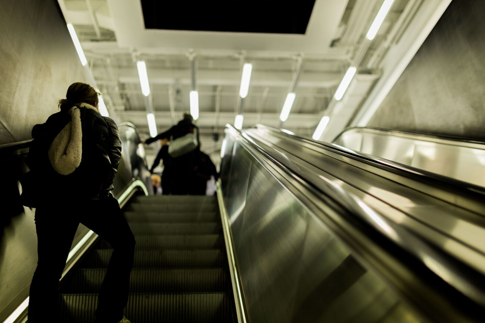 Canon EOS 6D + Sigma 35mm F1.4 DG HSM Art sample photo. Waiting, lines, moving, steel photography