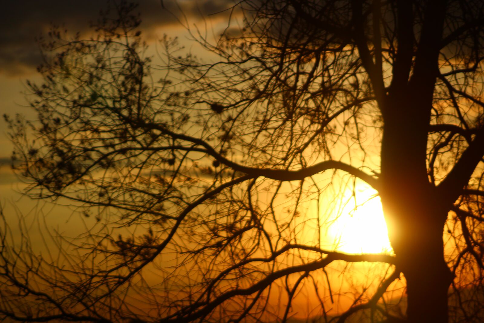 Canon EF75-300mm f/4-5.6 sample photo. Shadows, silhouettes, landscape photography