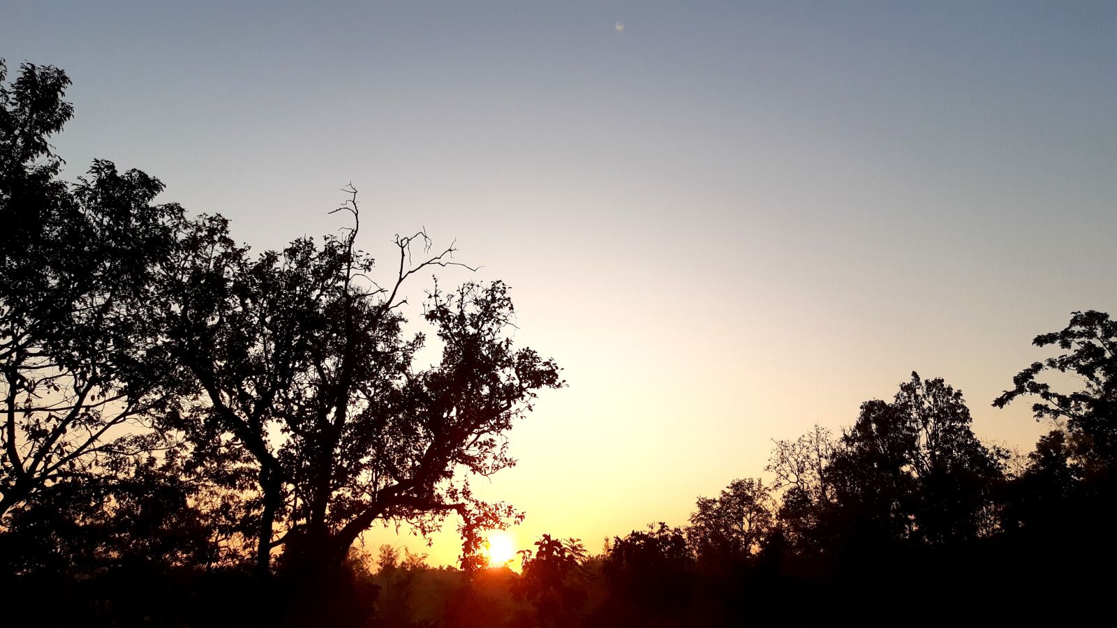 Samsung Galaxy A30 sample photo. The landscape, sunlight, sky photography