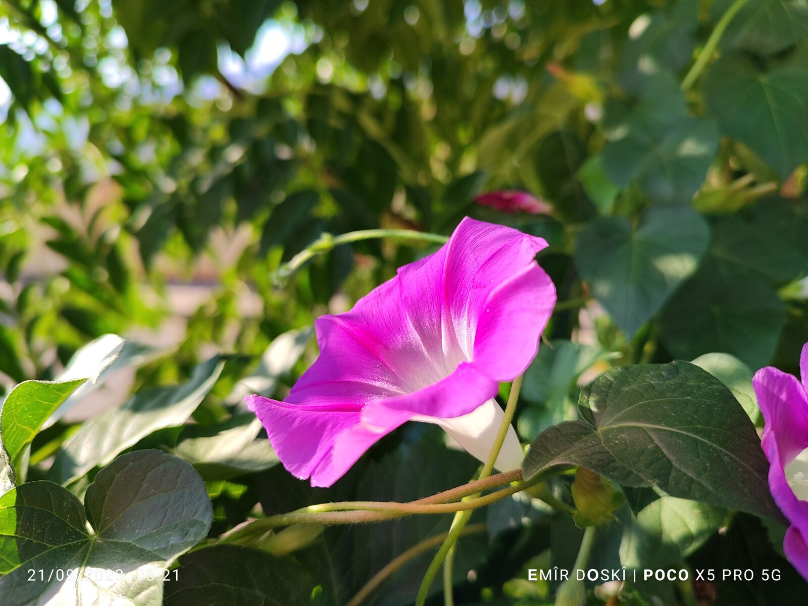 Xiaomi 22101320G sample photo. گولێن سپێدەهیا photography