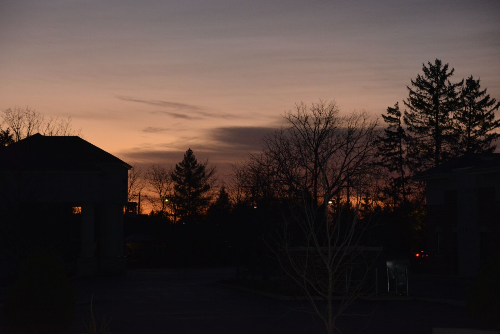 Nikon D5200 sample photo. Dawn, tree, sunrise photography