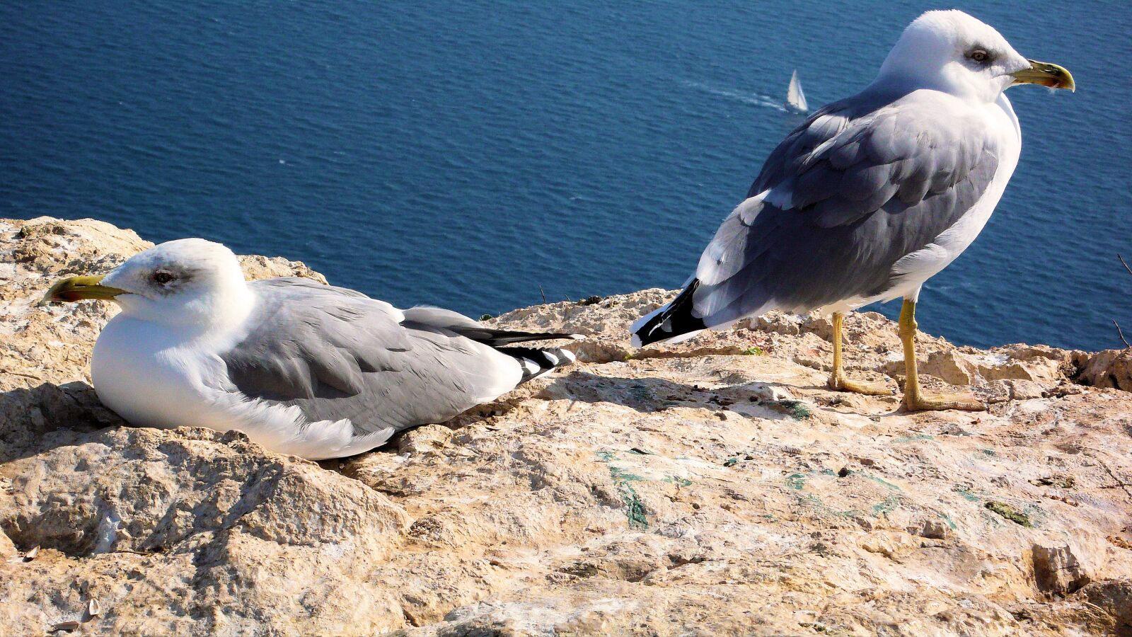 Panasonic DMC-LX2 sample photo. Calpe, mövenfelsen, spain photography