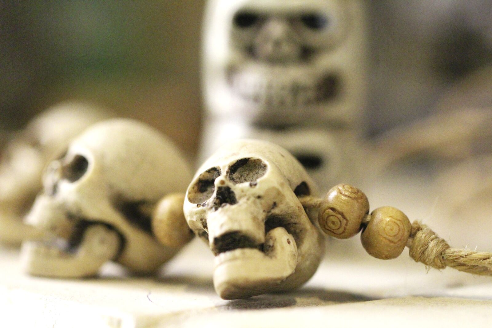 Canon EOS 700D (EOS Rebel T5i / EOS Kiss X7i) sample photo. Skull, skeleton, altar photography