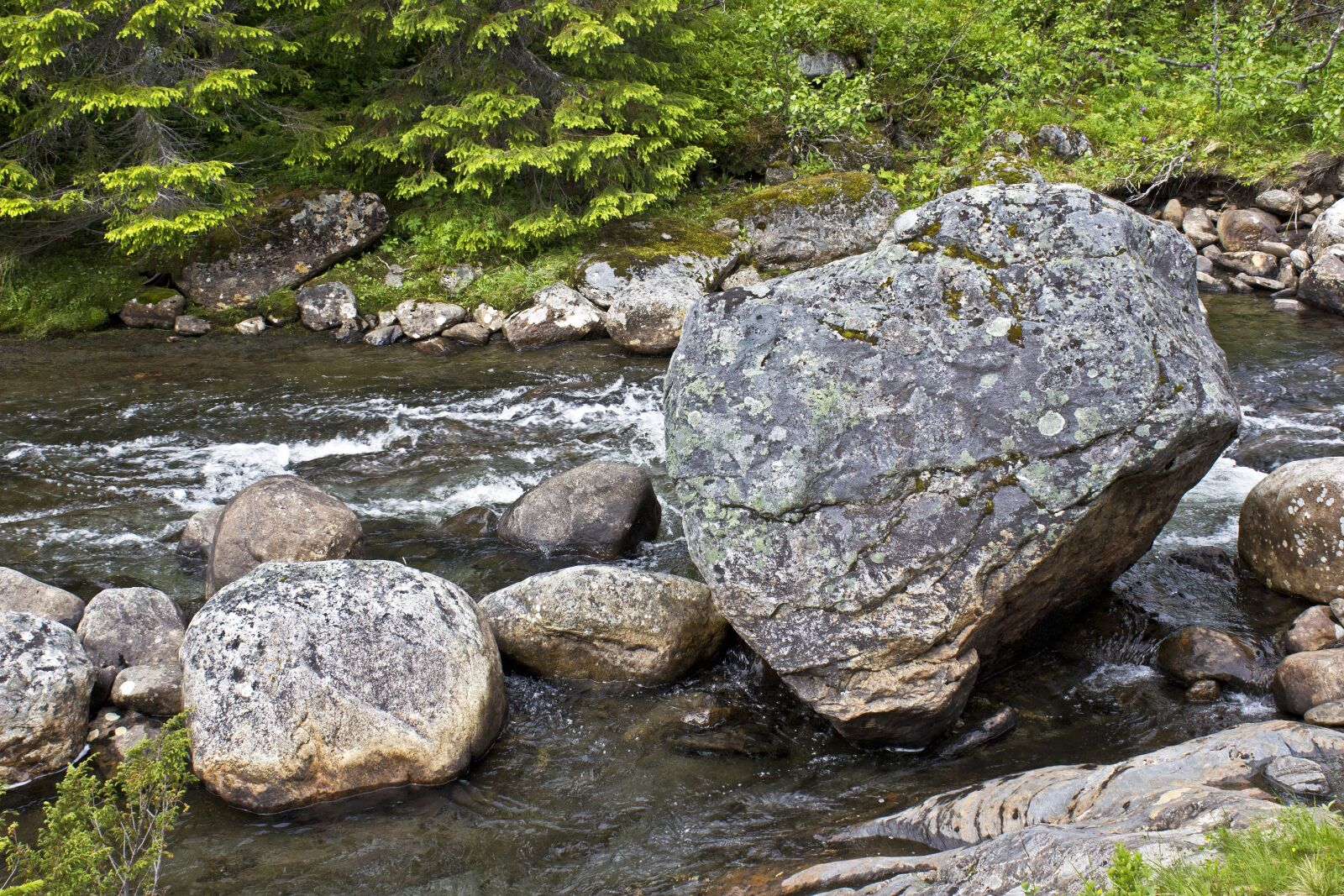 Canon EOS 600D (Rebel EOS T3i / EOS Kiss X5) sample photo. Rock in stream, nature photography