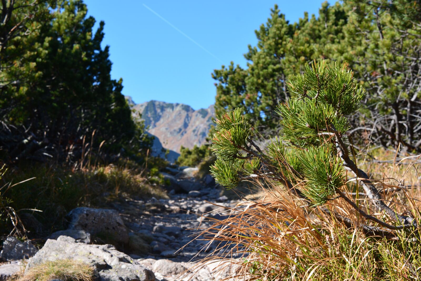 Nikon D5200 sample photo. Vysok tatry, belianske tatry photography