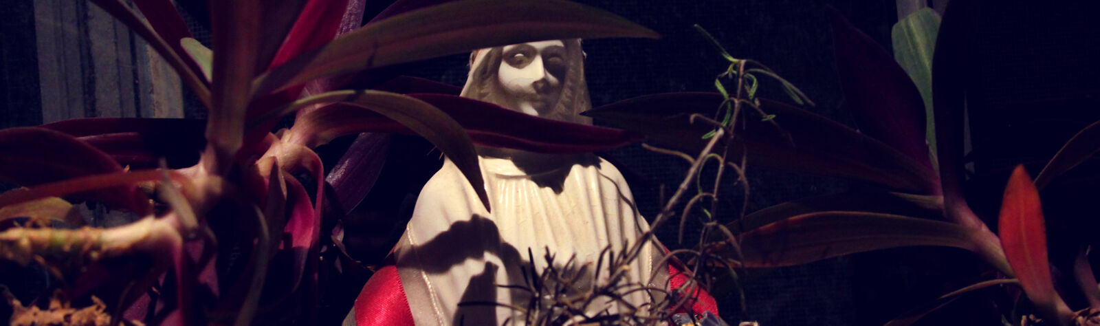 Canon EOS 550D (EOS Rebel T2i / EOS Kiss X4) sample photo. Flowers, night, saint, statue photography