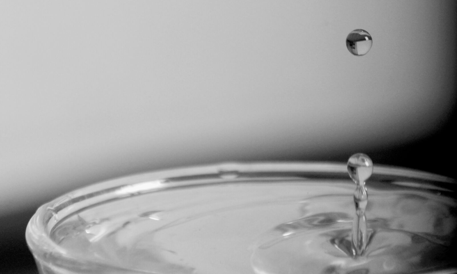 Nikon D90 sample photo. Black, and, white photography
