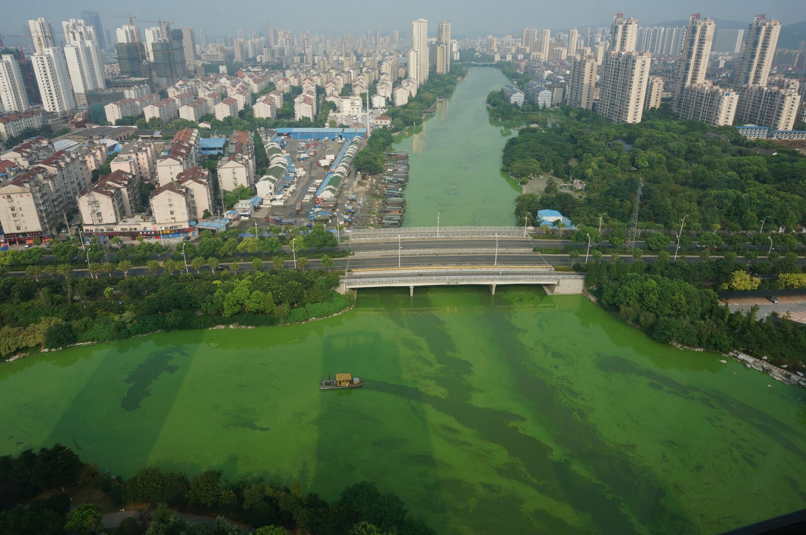 Sony Alpha NEX-5T sample photo. Cyanobacteria, salvage, bridge photography
