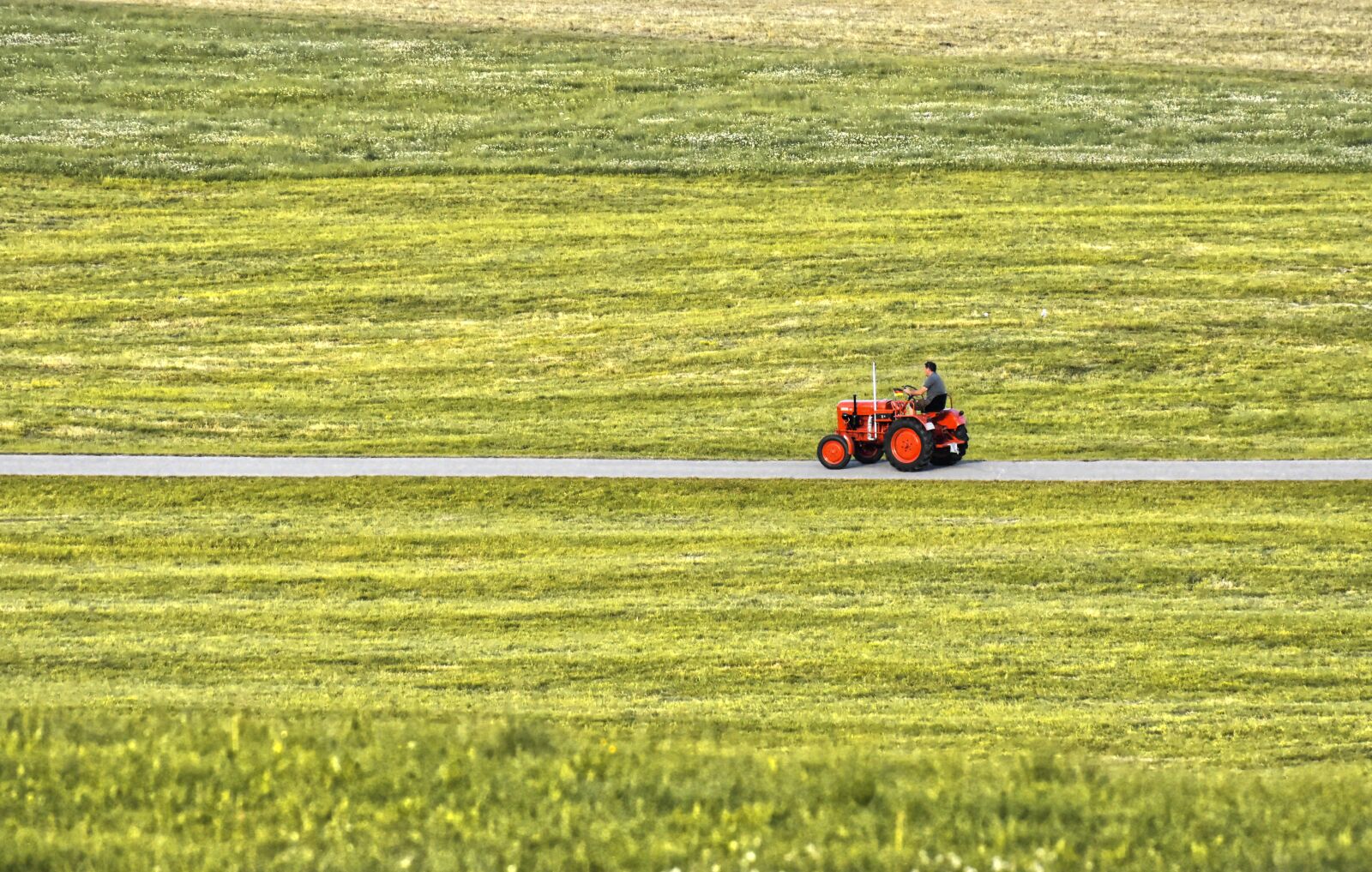 Nikon D7200 sample photo. Tractor, red, meadow photography
