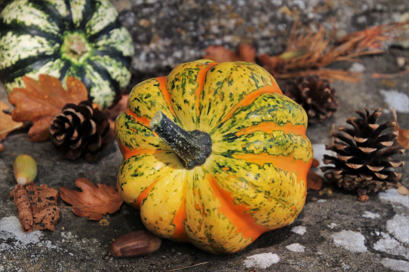 Canon EOS 80D sample photo. Pumpkins, autumn, decoration photography