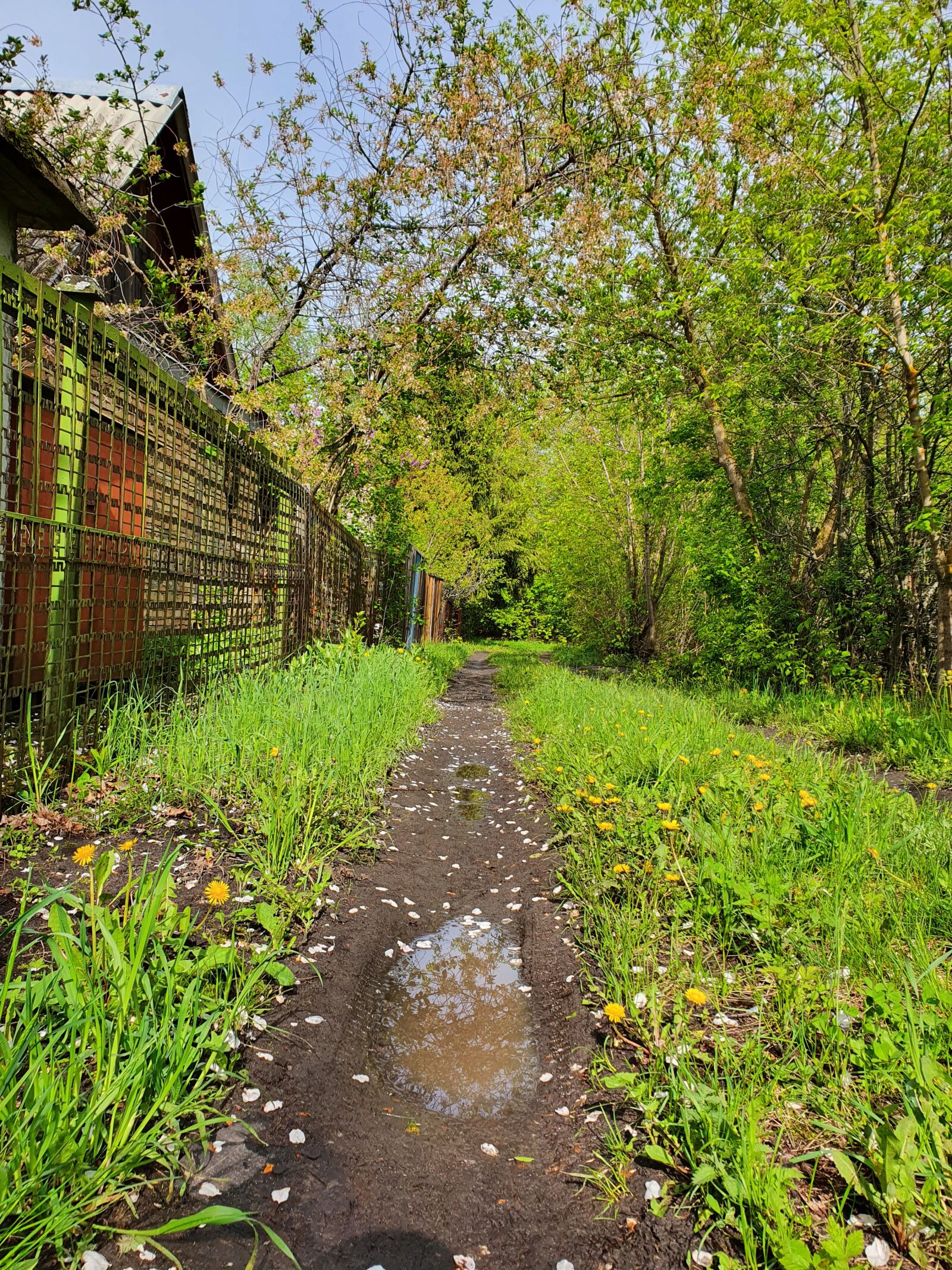 Samsung Galaxy S10 sample photo. Trail, road, the laci photography