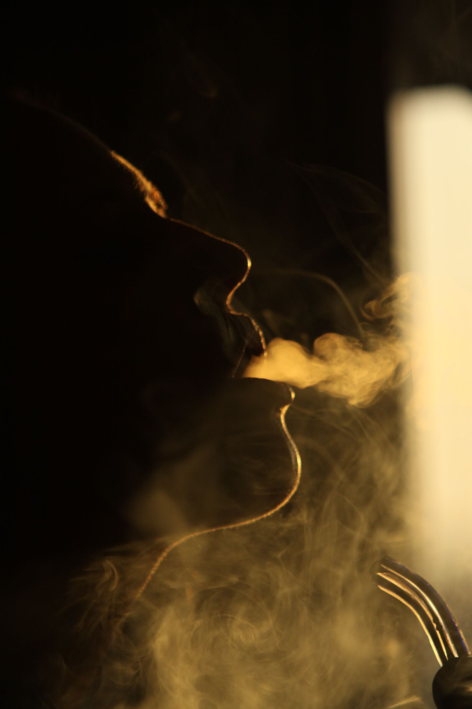 Canon EOS 50D sample photo. Smoke, hookah, tobacco photography
