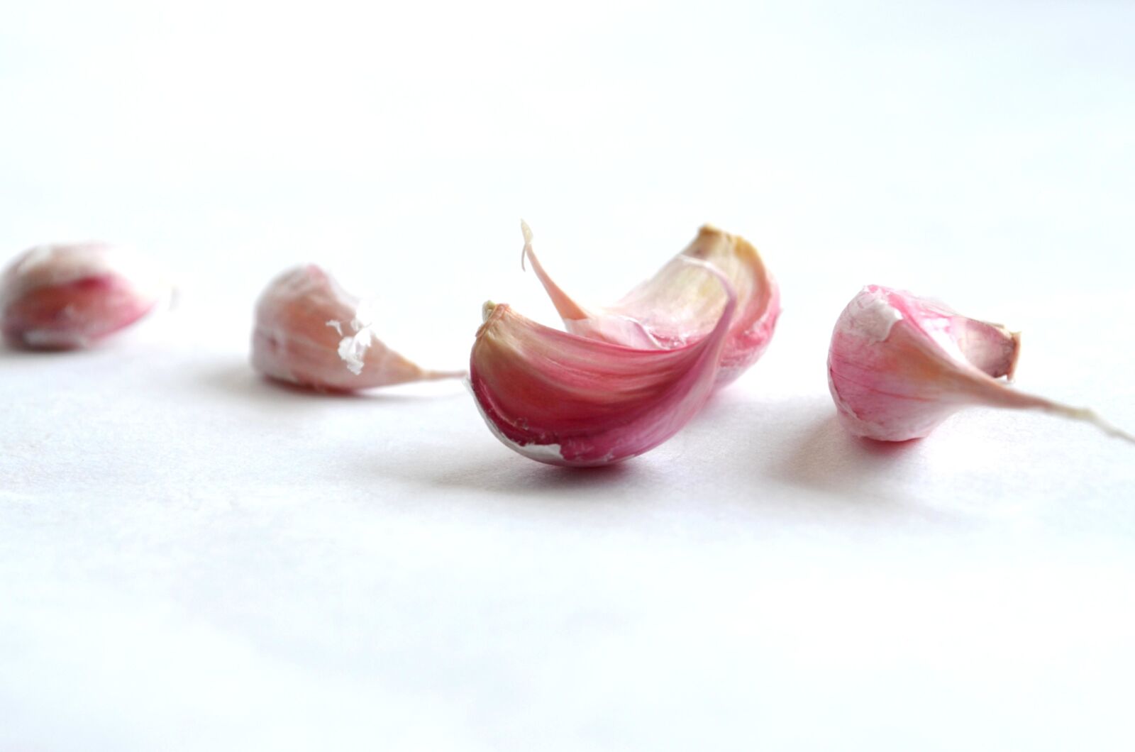 Nikon D5100 sample photo. Garlic, fresh, vegetable photography