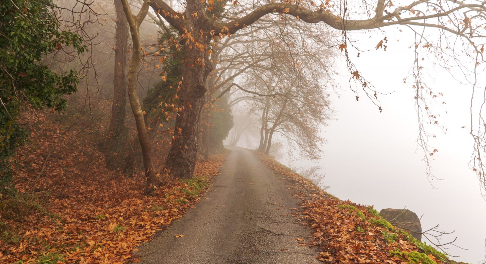 Nikon D5300 sample photo. Autumn, fall, lake photography