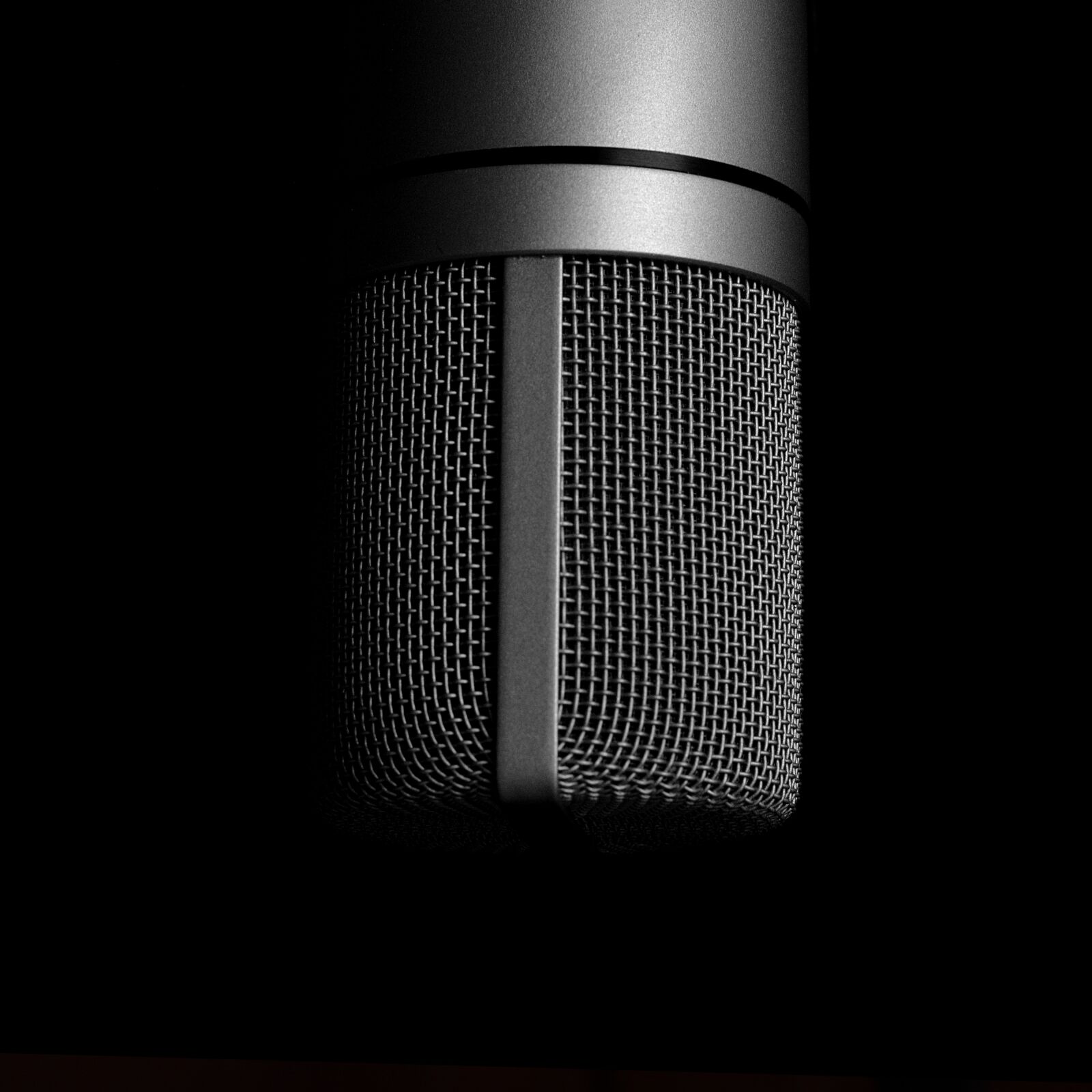 Nikon D5200 sample photo. Microphone, music, i am photography